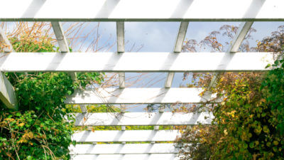 Complete Your Patio Area with a Pergola