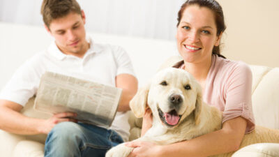 Creating a Pet Friendly Sunroom
