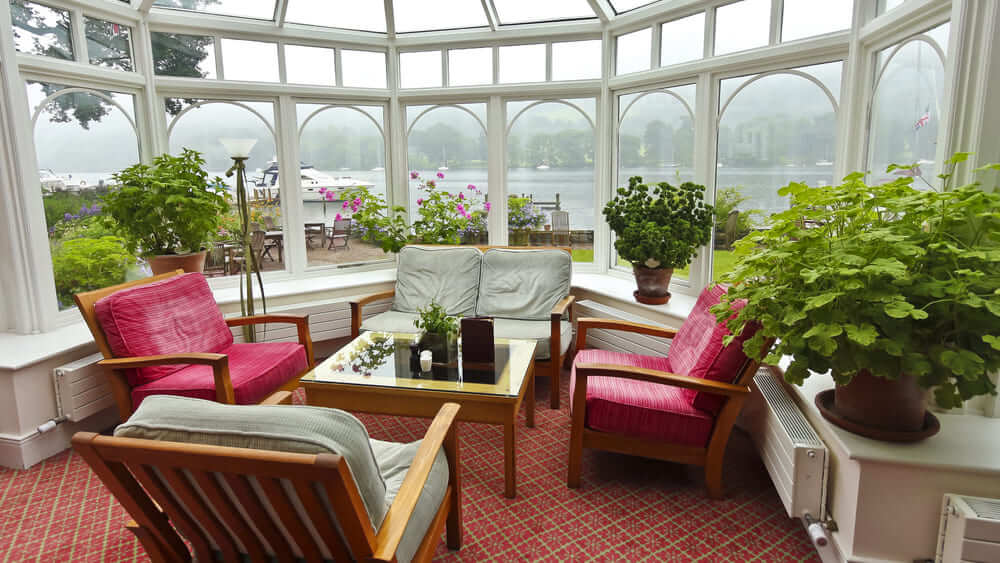 Plants for Your Sunroom